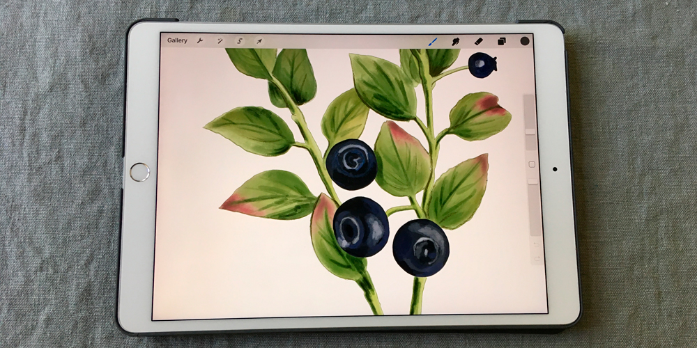 en stillbild från filmen om hur jag målar Blåbär på min iPad i programmet Procreate
